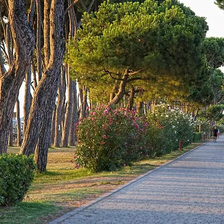 Nel Cuore Di